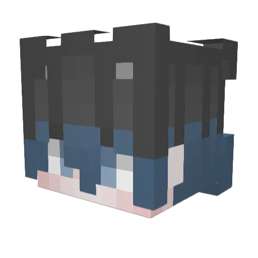 TakochanDX Minecraft avatar head, 3D render