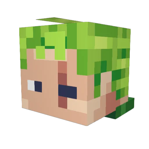Takodac Minecraft avatar head, 3D render
