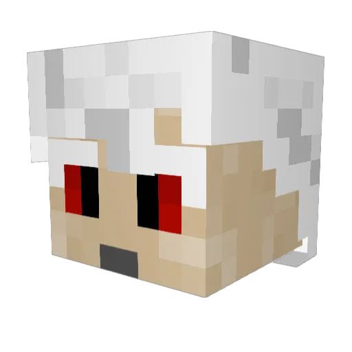 Takodachi7 Minecraft avatar head, 3D render