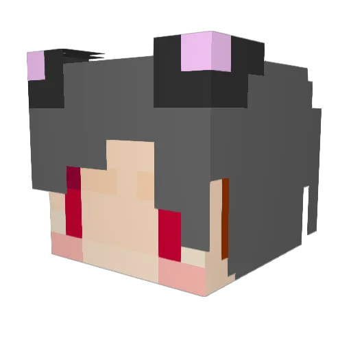 Takonlo Minecraft avatar head, 3D render