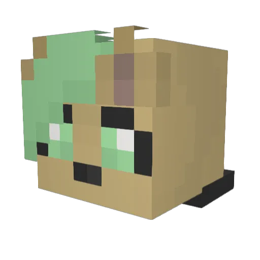 Takorak1509 Minecraft avatar head, 3D render