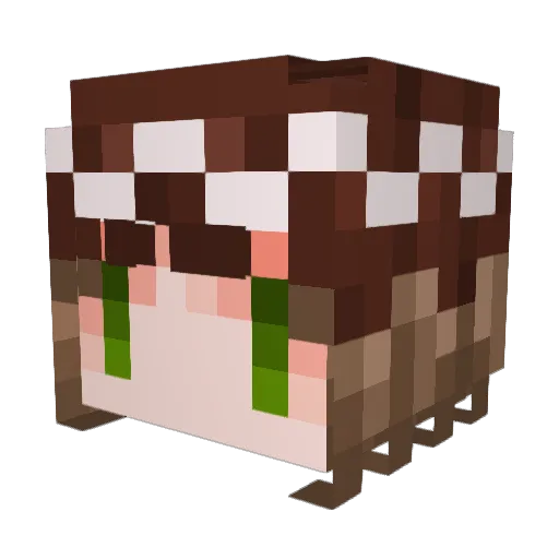 Takowacki Minecraft avatar head, 3D render