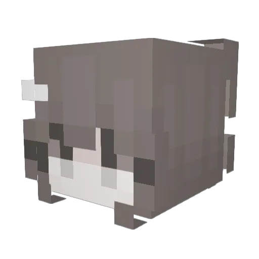 Takyu Minecraft avatar head, 3D render