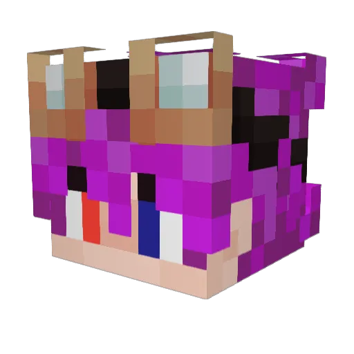 Tal_de_Bry Minecraft avatar head, 3D render
