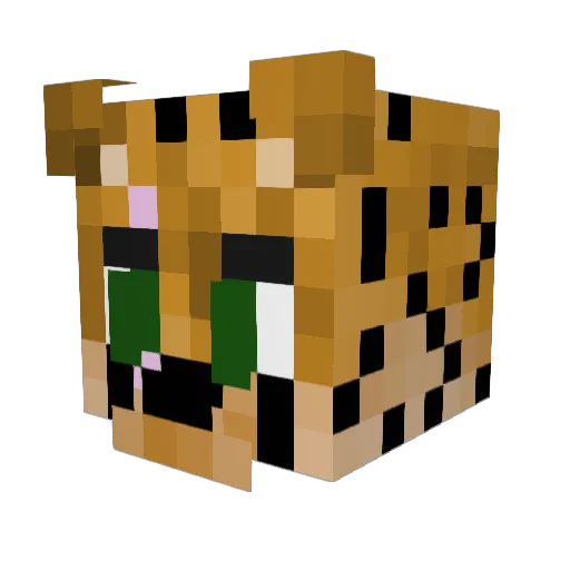 TalenReion Minecraft avatar head, 3D render
