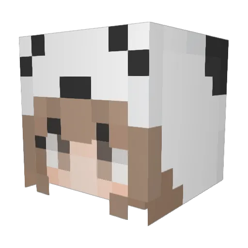 TalesJPN Minecraft avatar head, 3D render