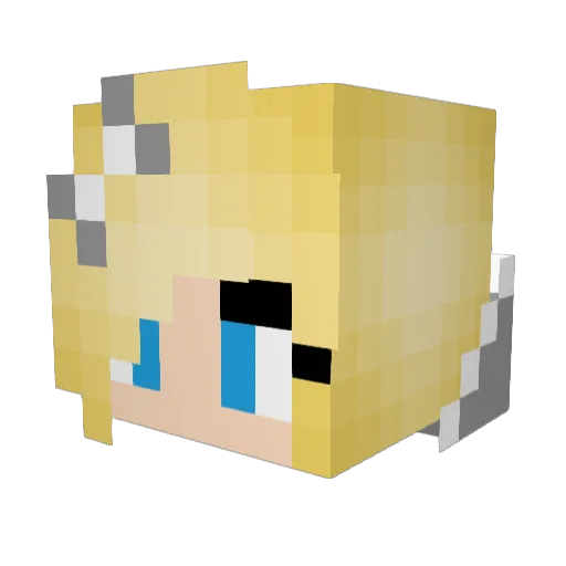 Tali08 Minecraft avatar head, 3D render