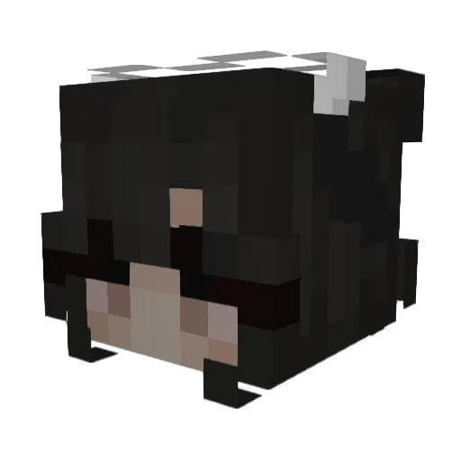 TaliaRyder Minecraft avatar head, 3D render