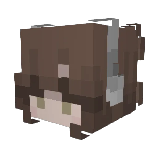 TaliaWalia12 Minecraft avatar head, 3D render