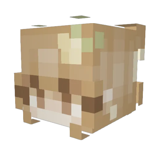 Talie00 Minecraft avatar head, 3D render