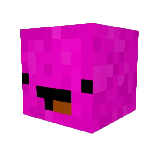 Talikoo Minecraft avatar head, 3D render