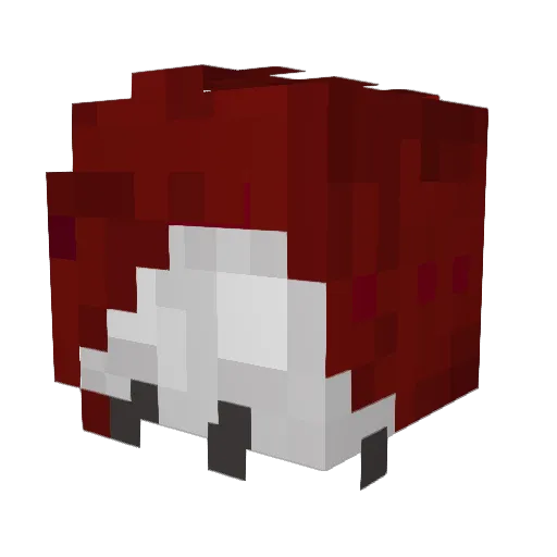Talirium Minecraft avatar head, 3D render