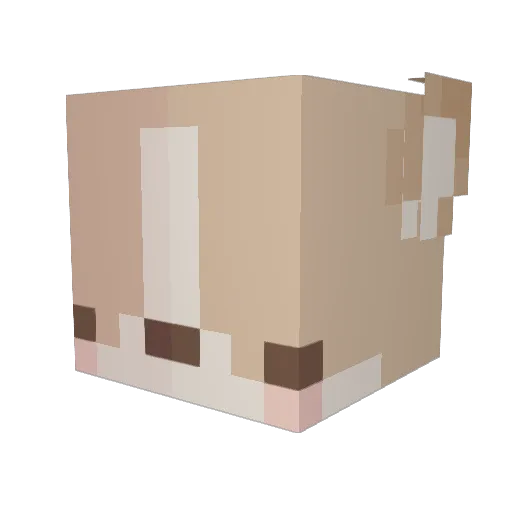 Talk0f Minecraft avatar head, 3D render