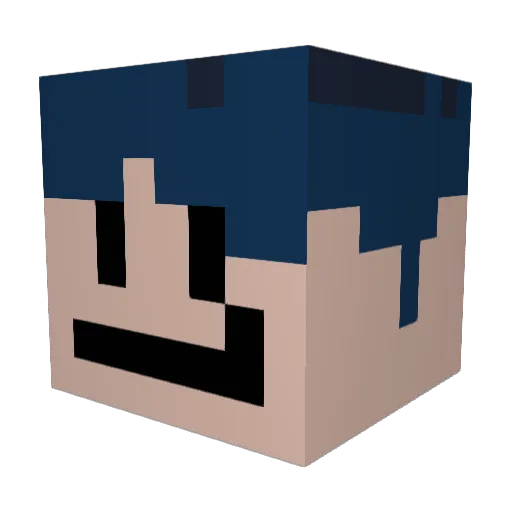 TalkierGoose688 Minecraft avatar head, 3D render