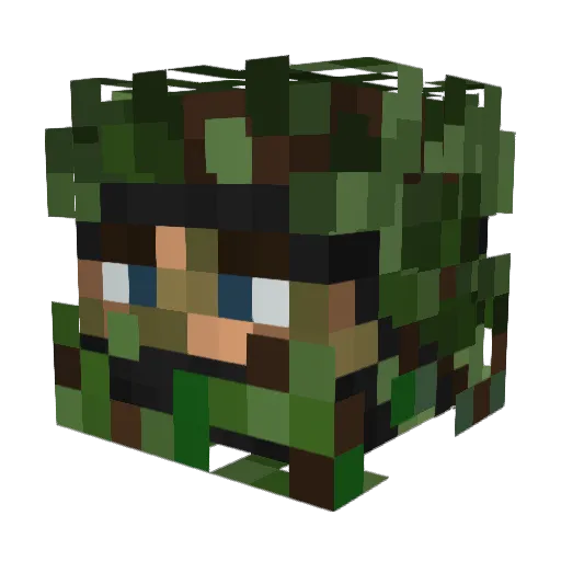 TalkinBush Minecraft avatar head, 3D render