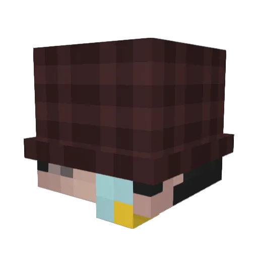 TallHK Minecraft avatar head, 3D render