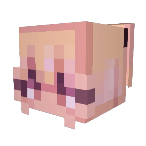 TallNscary Minecraft avatar head, 3D render