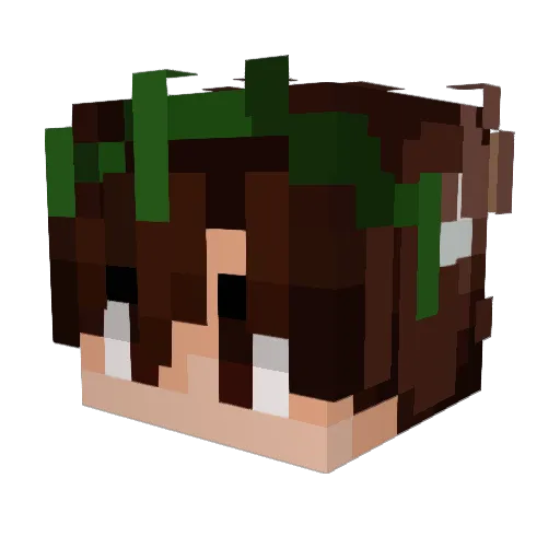 TallTaleCryptid Minecraft avatar head, 3D render