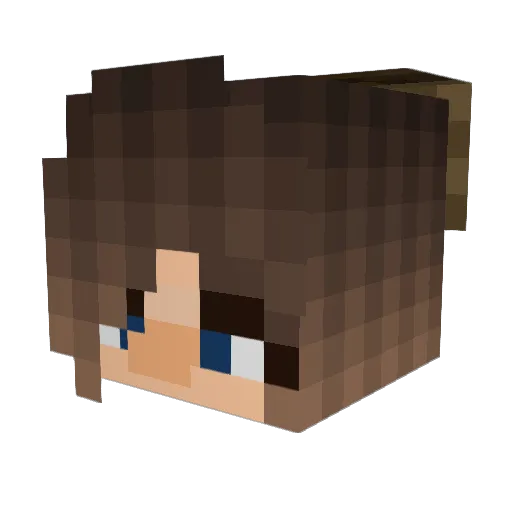 TallTinyVal Minecraft avatar head, 3D render