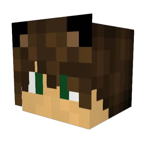 TallWasTaken Minecraft avatar head, 3D render