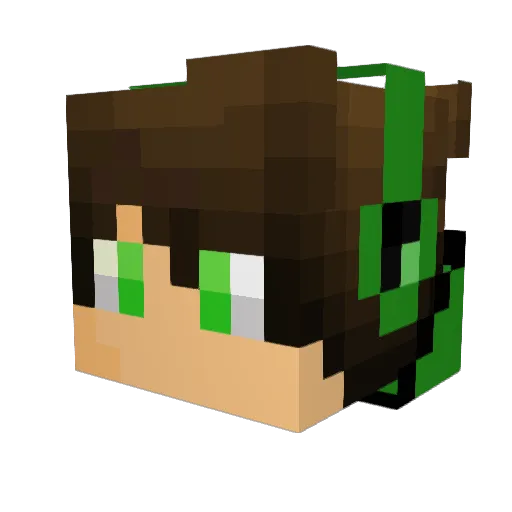 Tallak2015 Minecraft avatar head, 3D render
