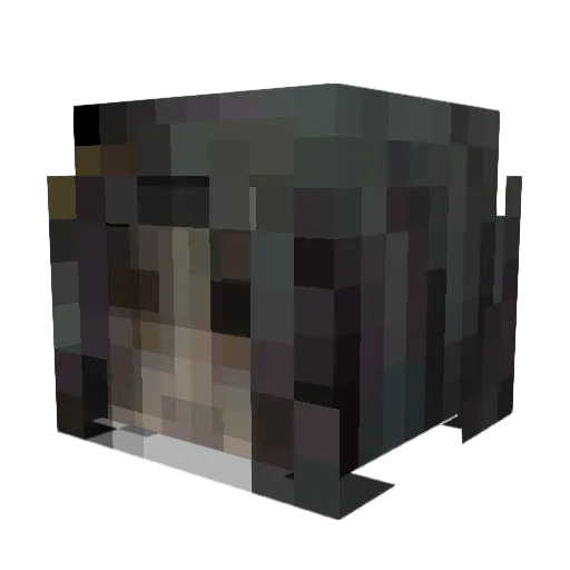 Tallanis Minecraft avatar head, 3D render