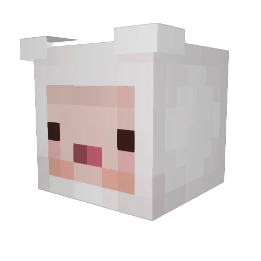 Tallerken_ Minecraft avatar head, 3D render