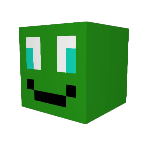 Tallerlake48503 Minecraft avatar head, 3D render
