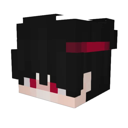 Tallist Minecraft avatar head, 3D render