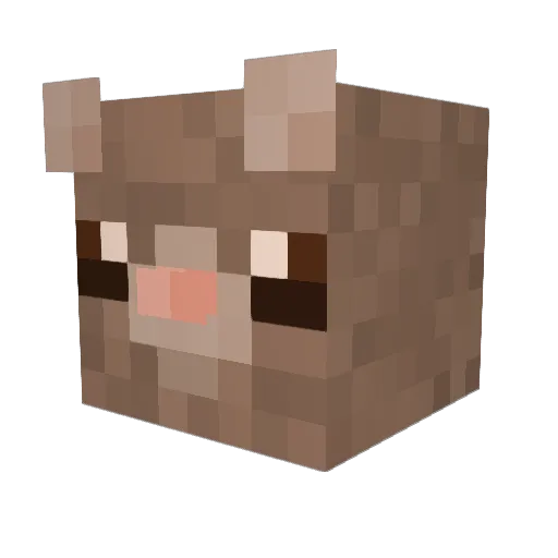 Tallmongoose Minecraft avatar head, 3D render