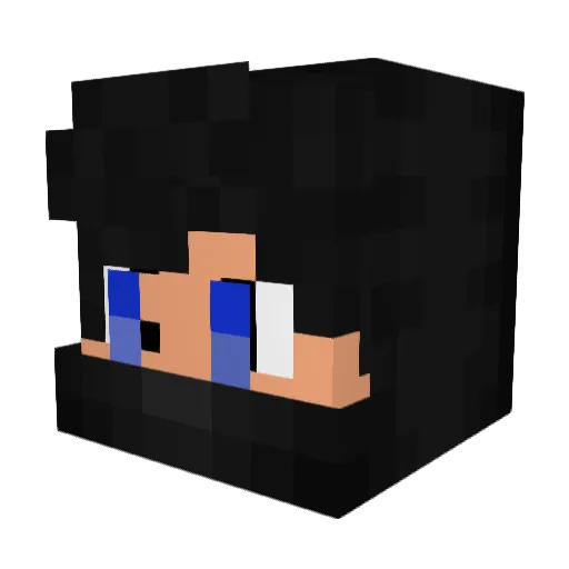 TalloTron24 Minecraft avatar head, 3D render