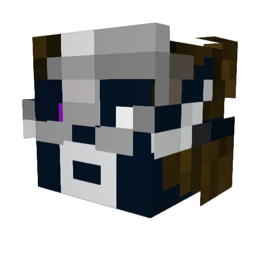TallonRiddle Minecraft avatar head, 3D render