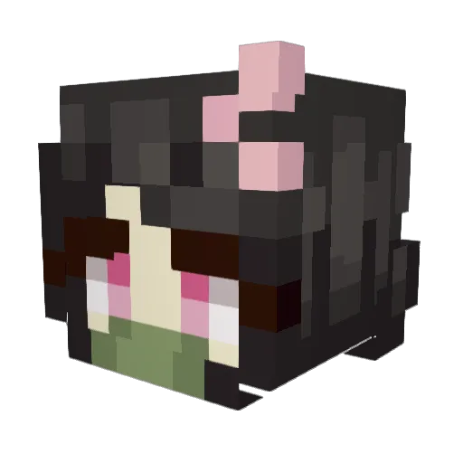 Tallslein2003 Minecraft avatar head, 3D render