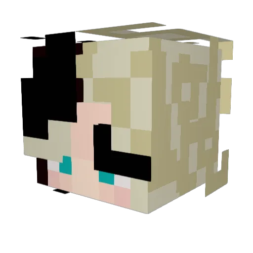 Tallulah8192 Minecraft avatar head, 3D render