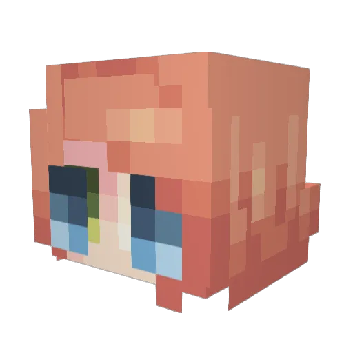 Tallvish Minecraft avatar head, 3D render