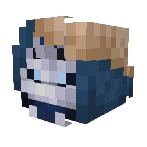 Tallyment Minecraft avatar head, 3D render