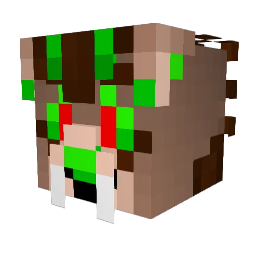 Tallyyyy Minecraft avatar head, 3D render