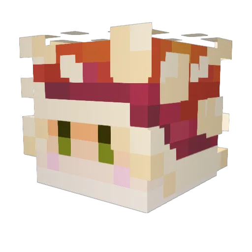 TalonCaspian Minecraft avatar head, 3D render