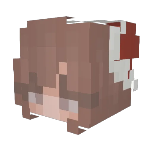 TalonIsDaddy Minecraft avatar head, 3D render