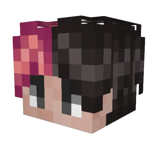 Talon_Co Minecraft avatar head, 3D render