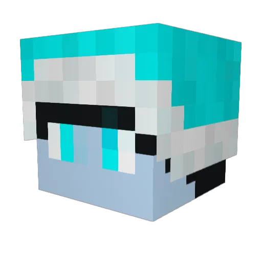 Talpro1415 Minecraft avatar head, 3D render