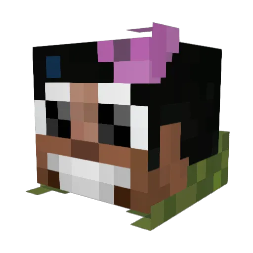 Tals05 Minecraft avatar head, 3D render
