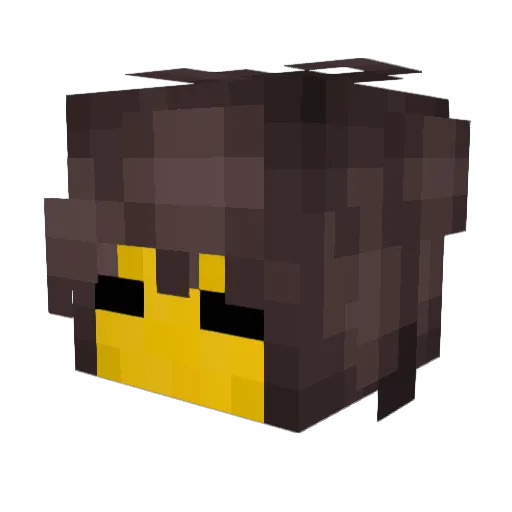 Talula564 Minecraft avatar head, 3D render
