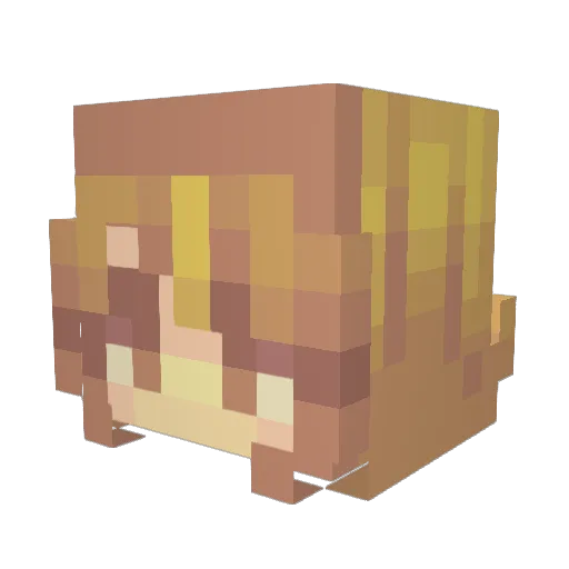 Talvinnya Minecraft avatar head, 3D render