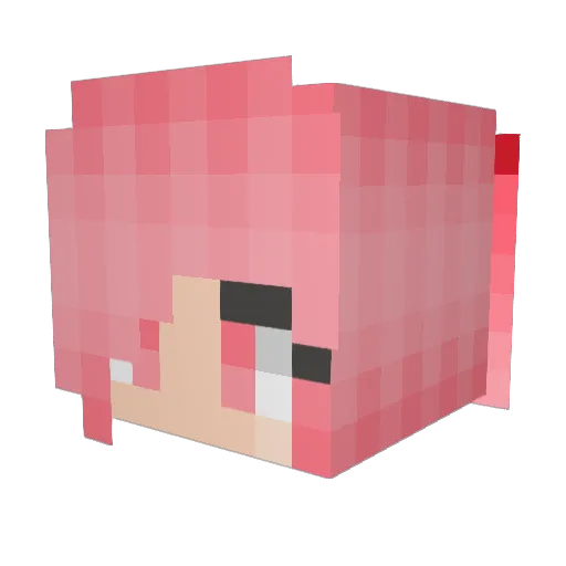 Talvisolta Minecraft avatar head, 3D render
