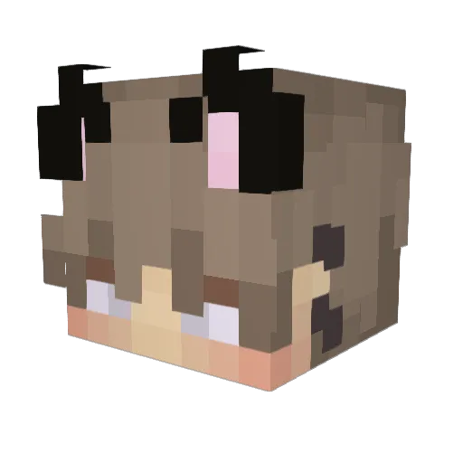 Talvisota_Wren Minecraft avatar head, 3D render