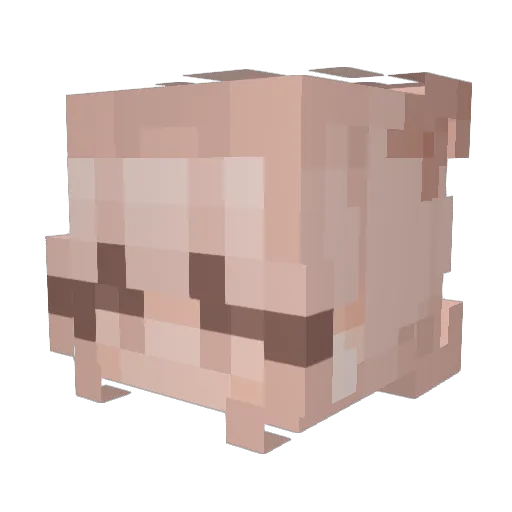 TamStyles Minecraft avatar head, 3D render