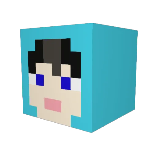 TamT007 Minecraft avatar head, 3D render