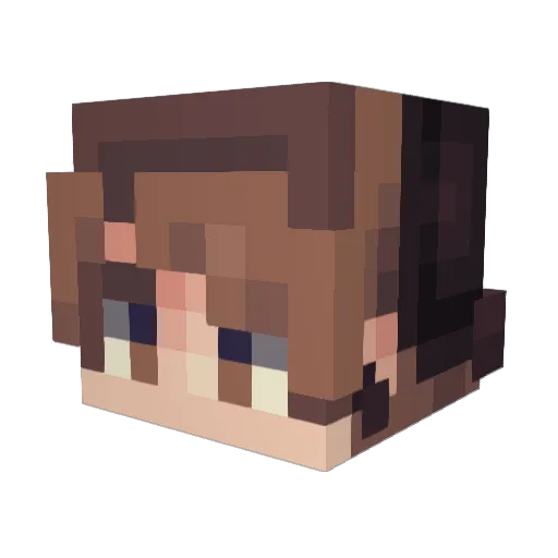 Tam_IsGone Minecraft avatar head, 3D render