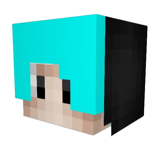 Tam_Tam2 Minecraft avatar head, 3D render